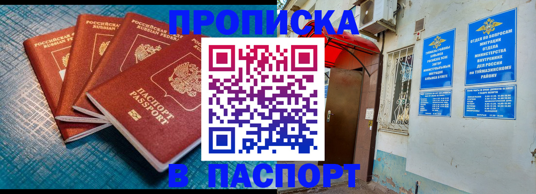 прописка иностранных граждан в Апатитах